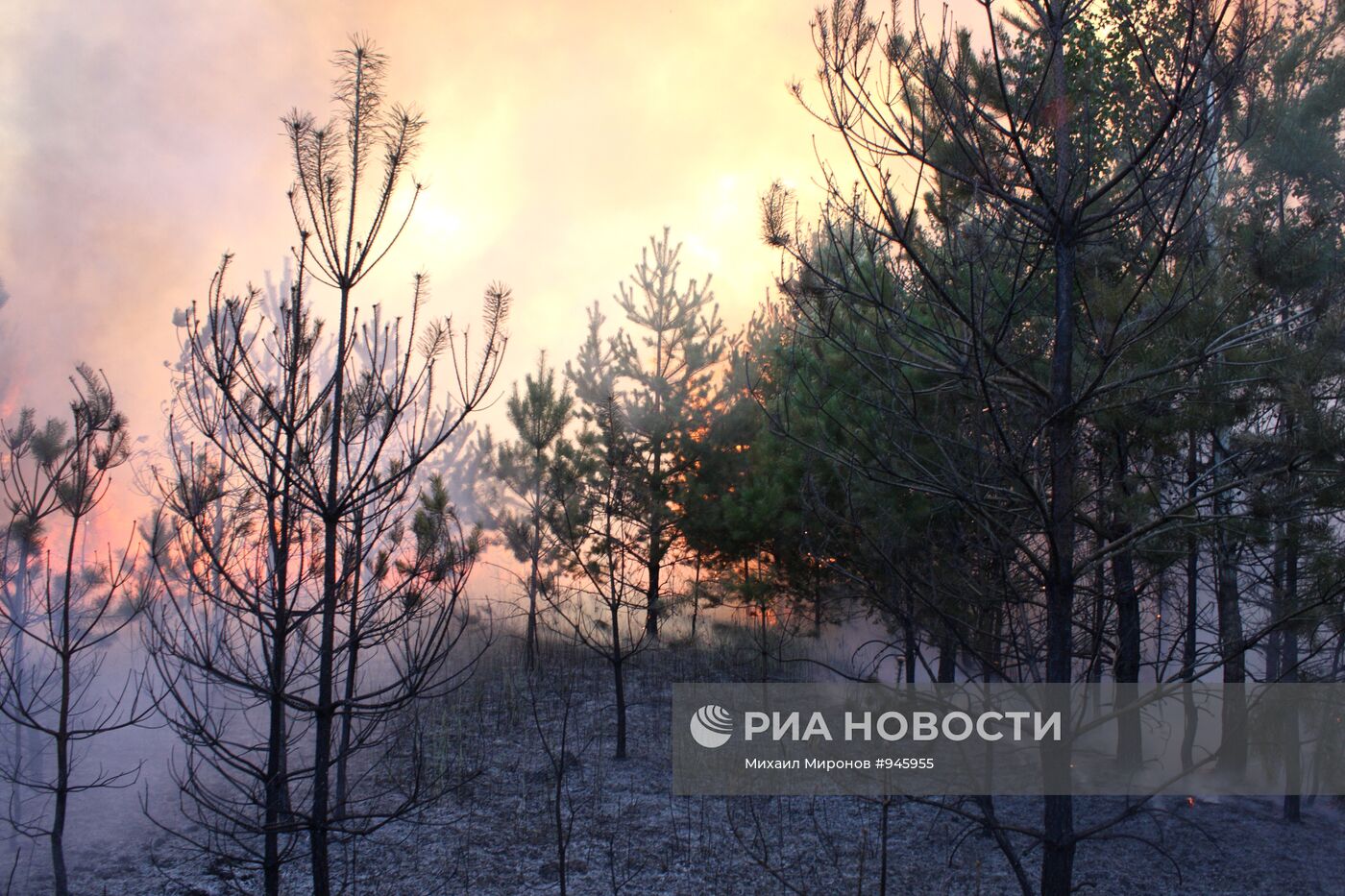 Тушение лесного пожара в Егорьевском районе Московской области