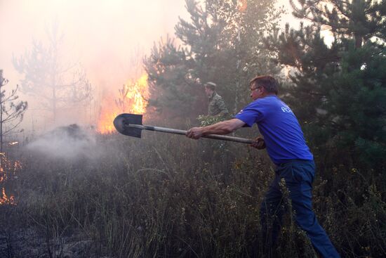 Тушение лесного пожара в Егорьевском районе Московской области