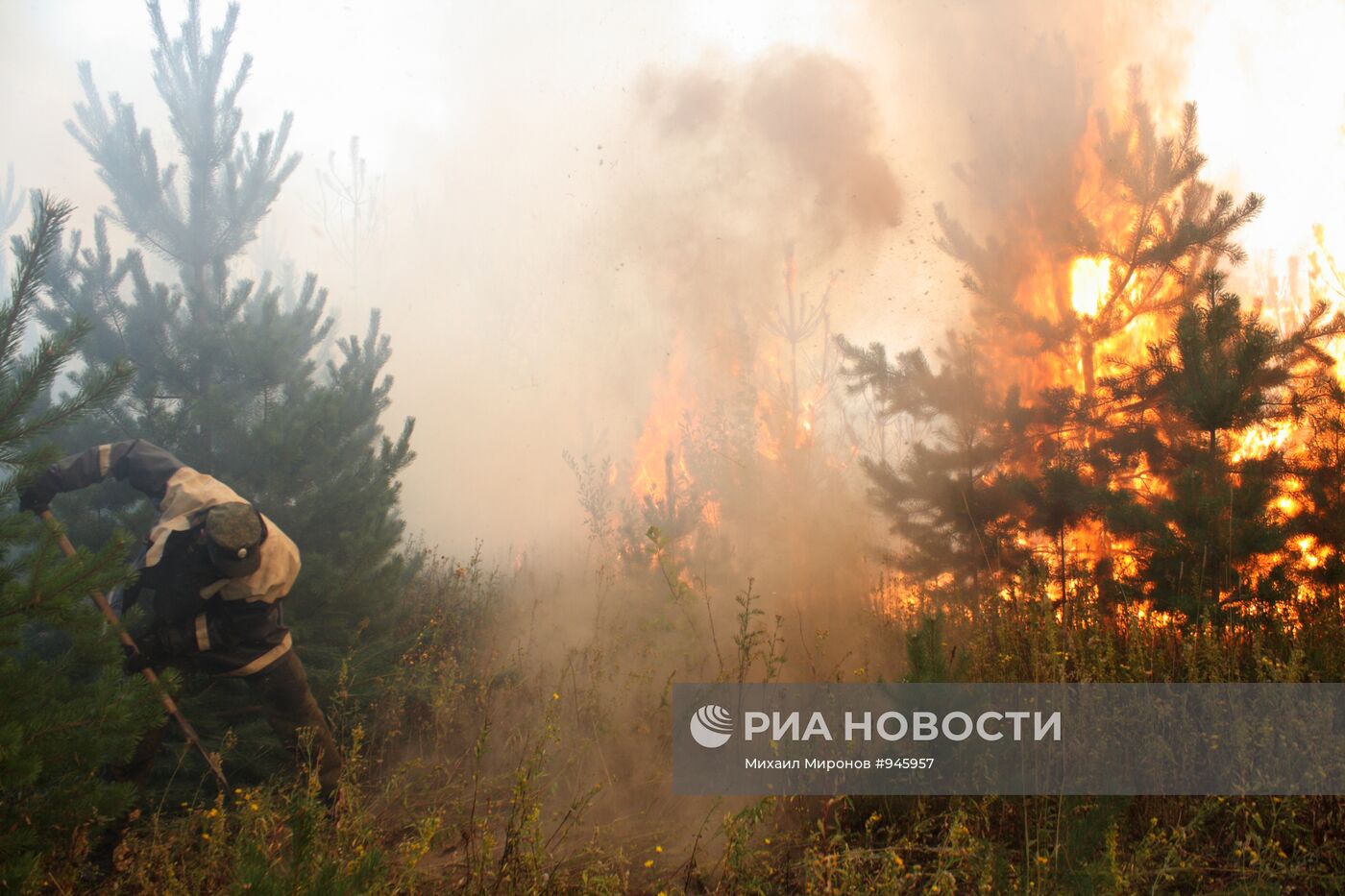 Тушение лесного пожара в Егорьевском районе Московской области