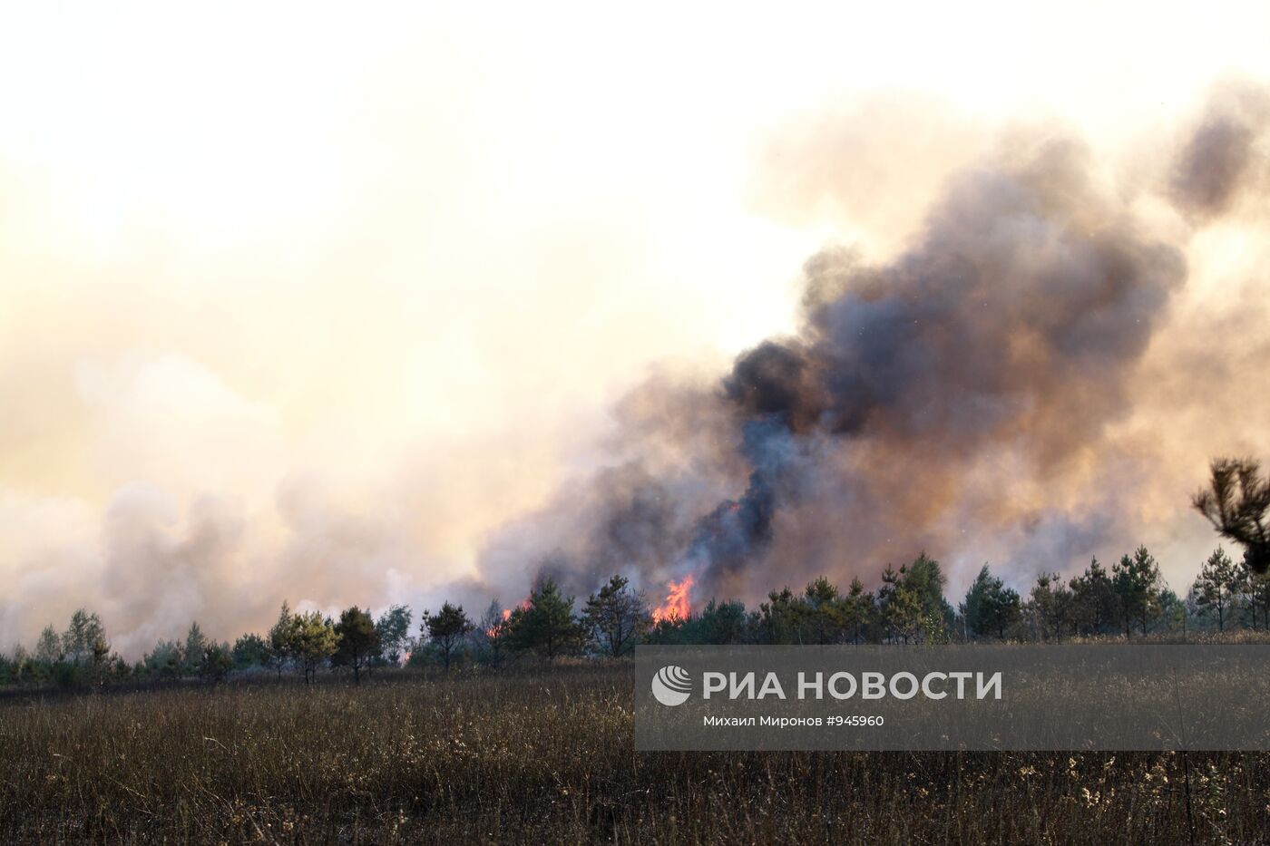 Тушение лесного пожара в Егорьевском районе Московской области