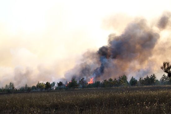 Тушение лесного пожара в Егорьевском районе Московской области
