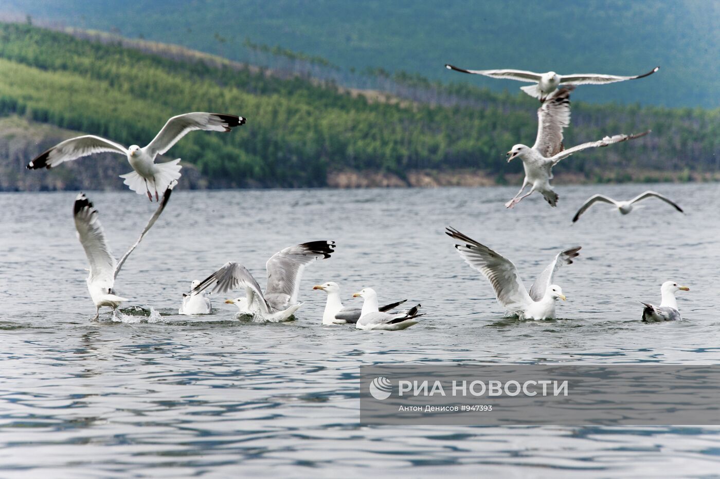 Озеро Байкал