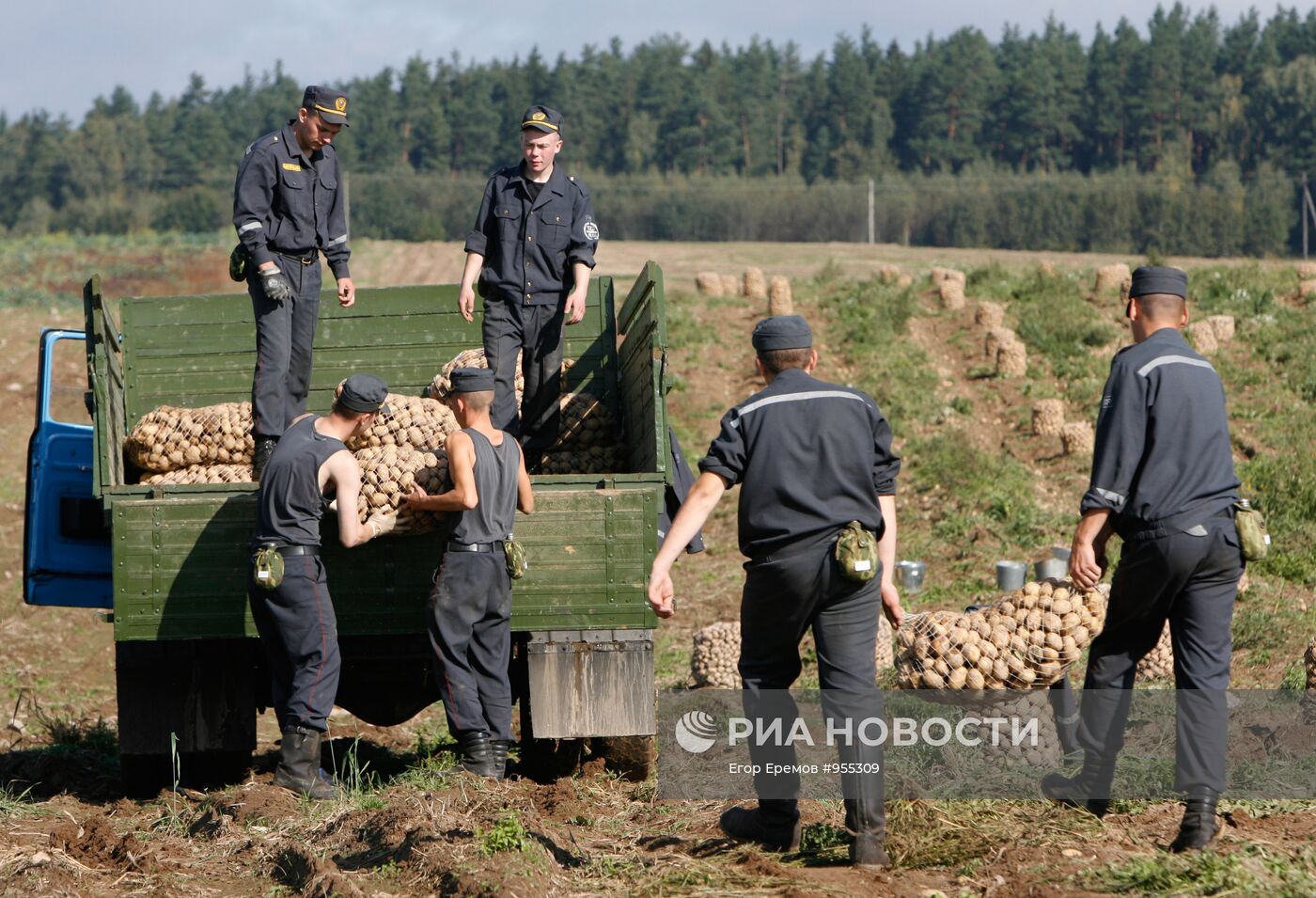 Уборка картофеля на полях Белоруссии
