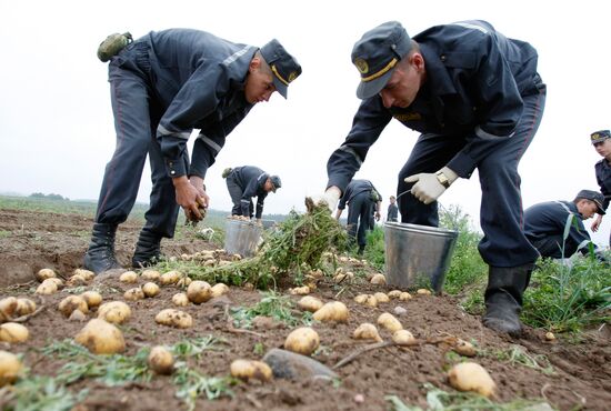 Уборка картофеля на полях Белоруссии