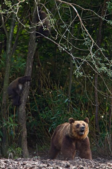 Регионы России. Курильские острова. Остров Итуруп