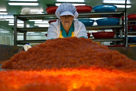 Регионы России. Курильские острова. Остров Итуруп