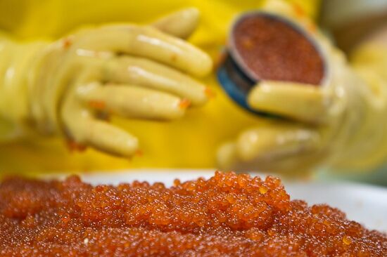 Регионы России. Курильские острова. Остров Итуруп