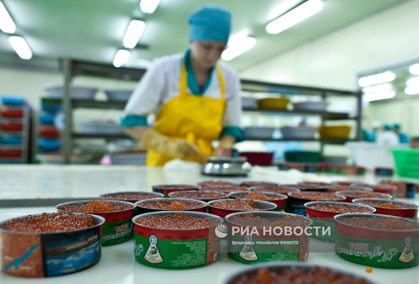 Регионы России. Курильские острова. Остров Итуруп