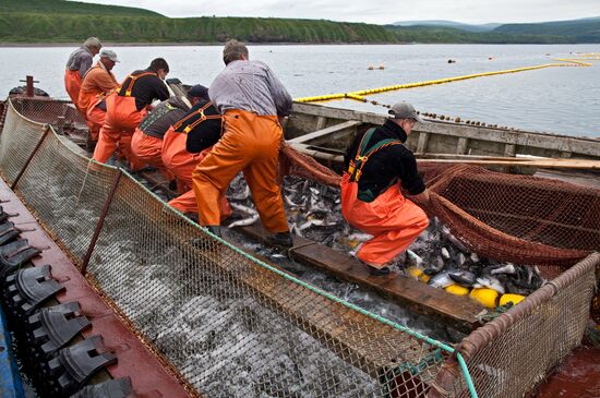 Регионы России. Курильские острова. Остров Итуруп