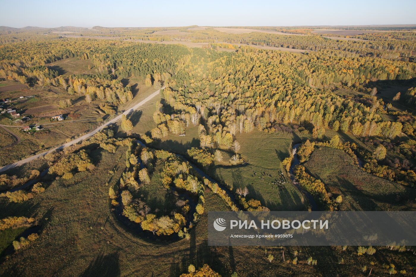 Виды Новосибирской области