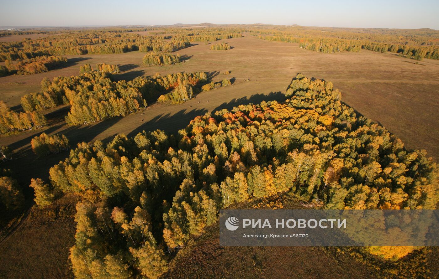 Регионы России. Новосибирская область