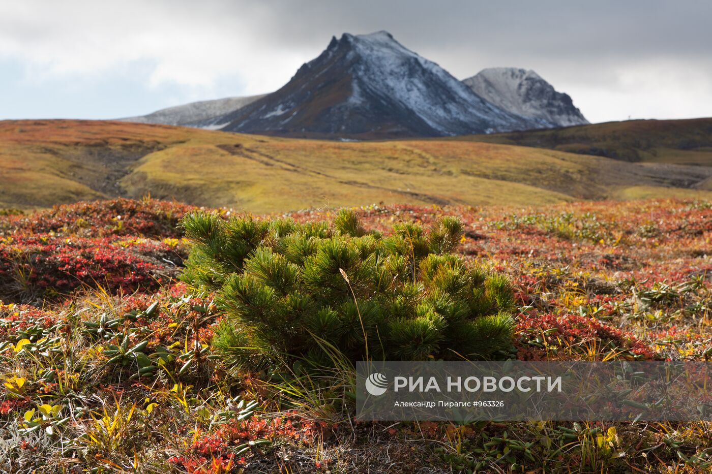 Виды Камчатки
