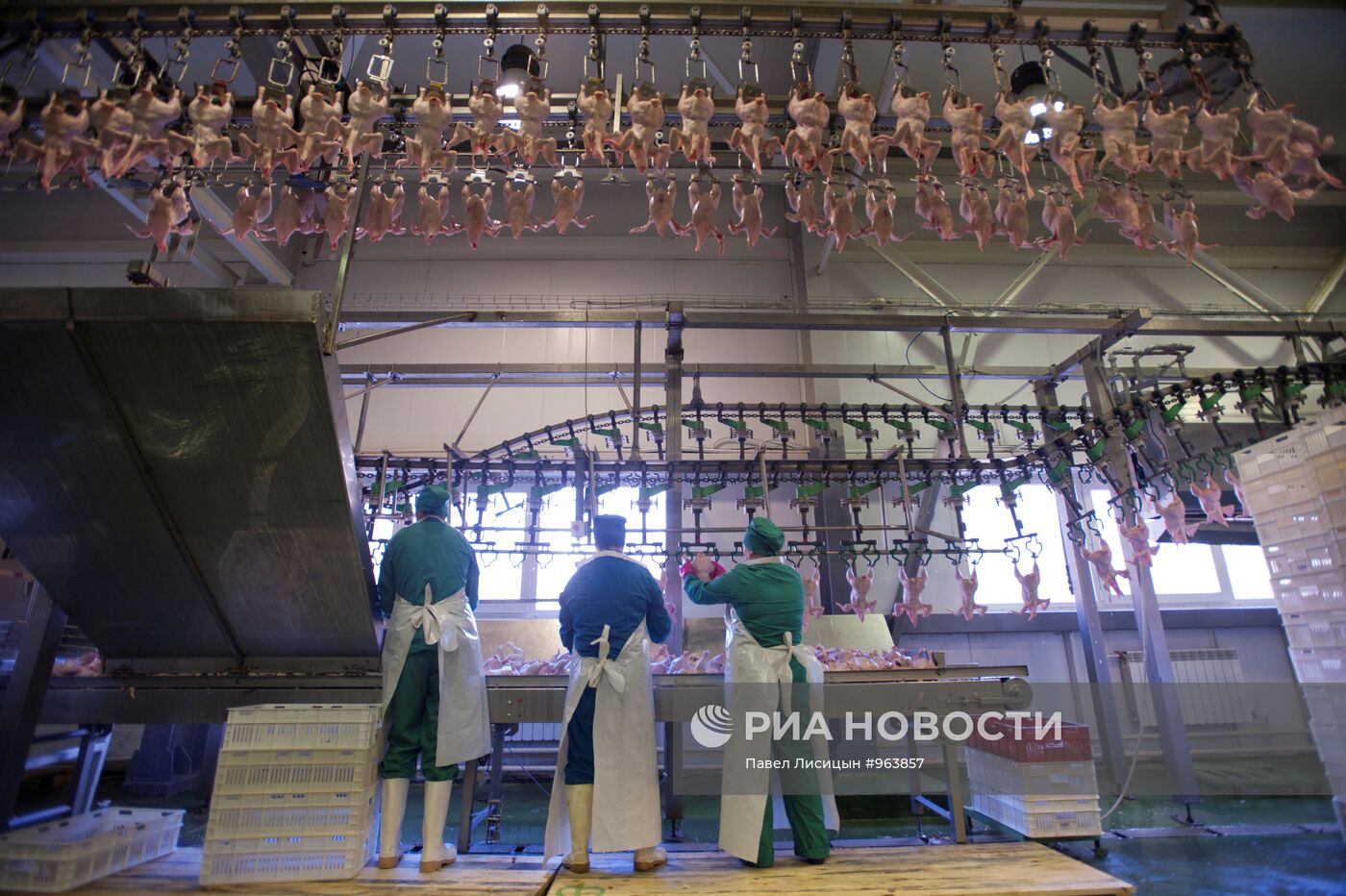Работа птицефабрики "Рефтинская" в Екатеринбурге