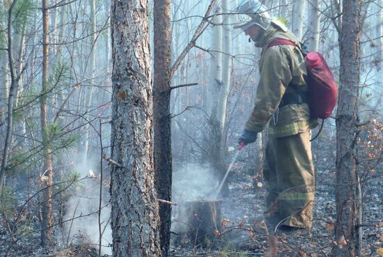 Тушение лесных пожаров в Братске