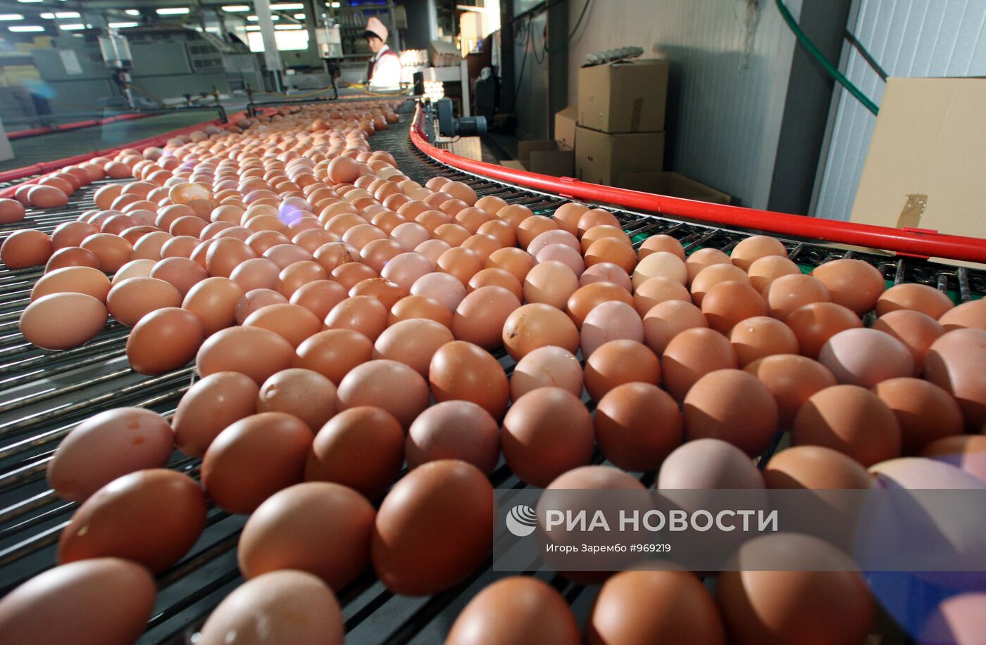 Работа Гурьевской птицефабрики в Калининградской области