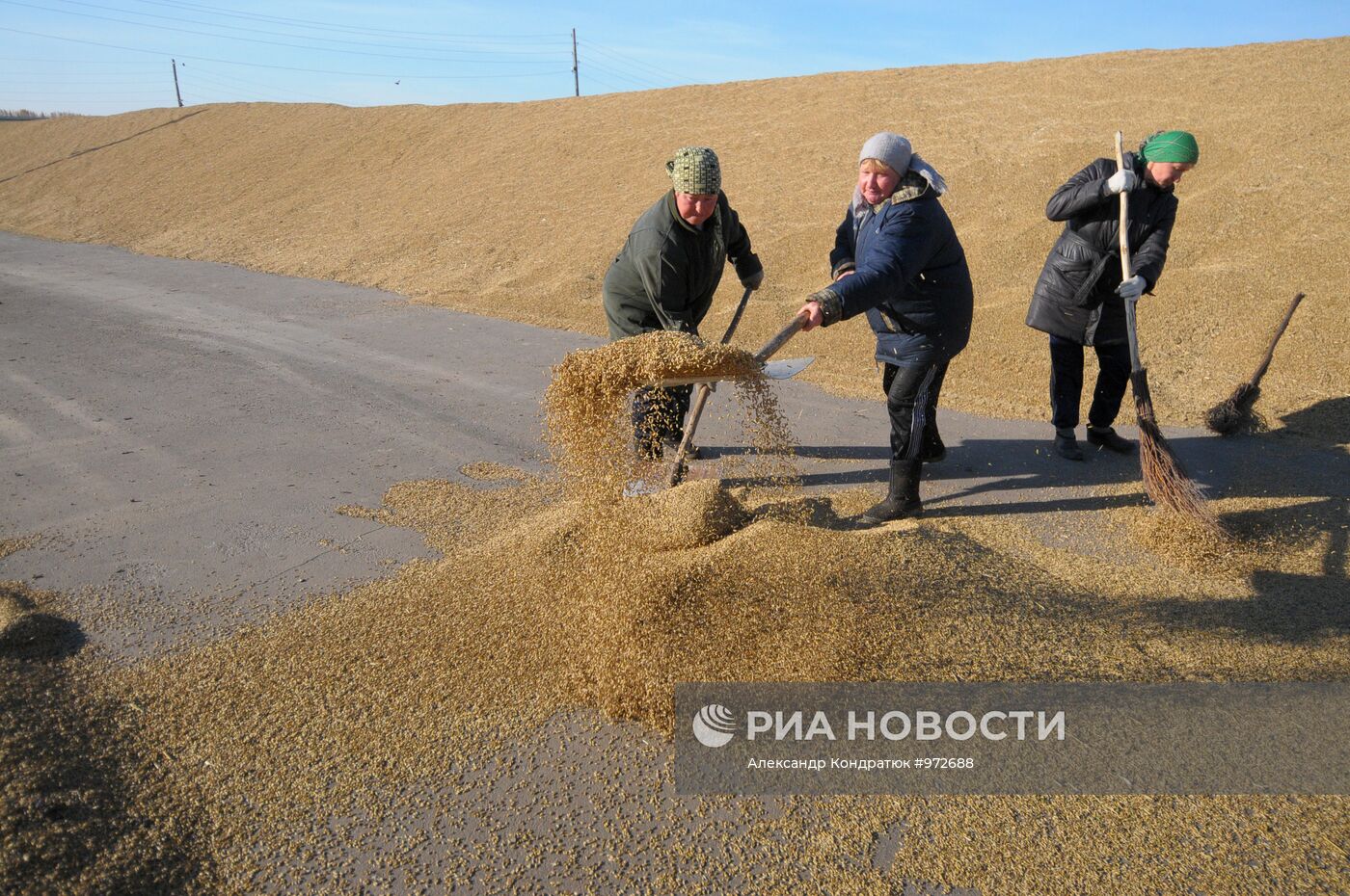 Работа Петропавловского зернового комплекса