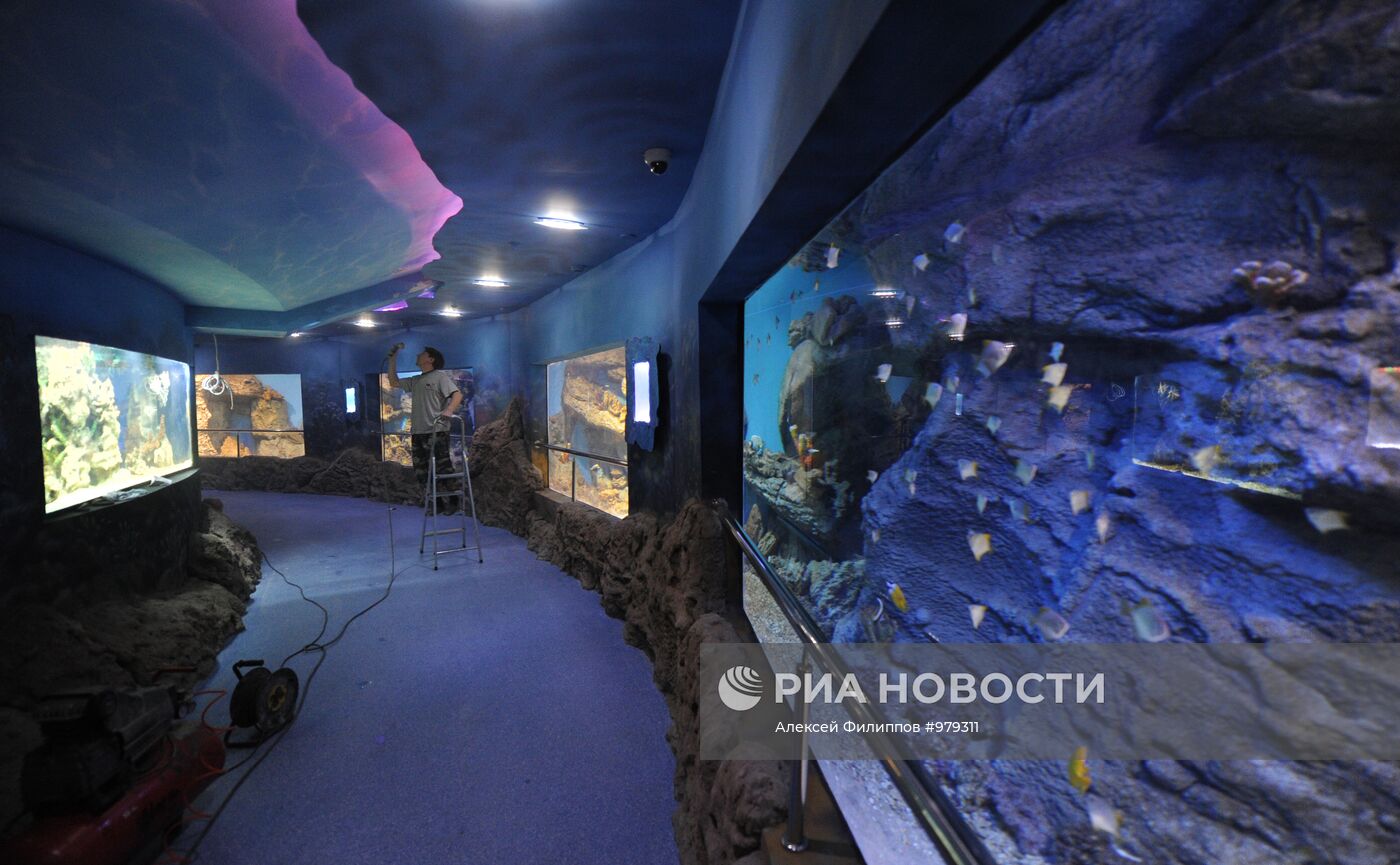 Московский океанариум готовится к открытию