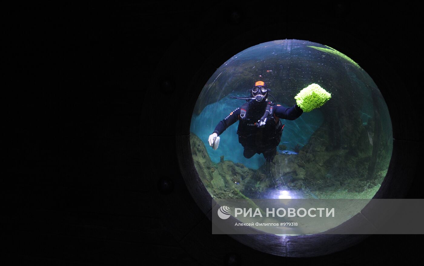 Московский океанариум готовится к открытию