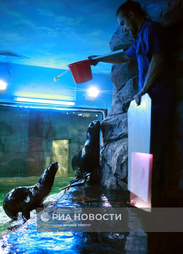 Открытие Московского океанариума