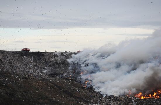 Пожар на свалке мусора на Волхонском шоссе в Ленобласти