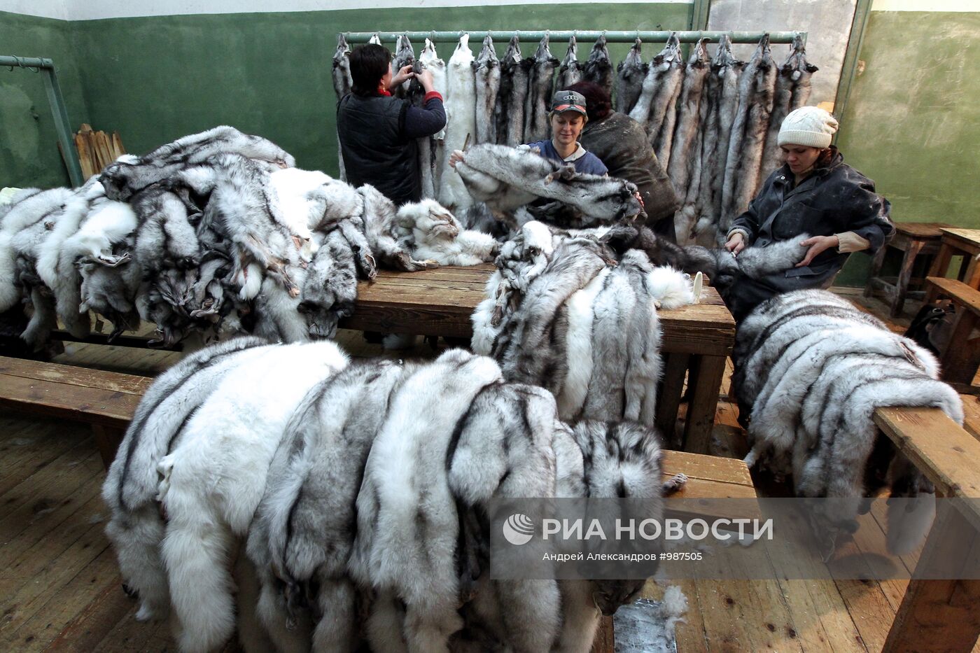 Бобруйское отделение Калинковичского зверохозяйства