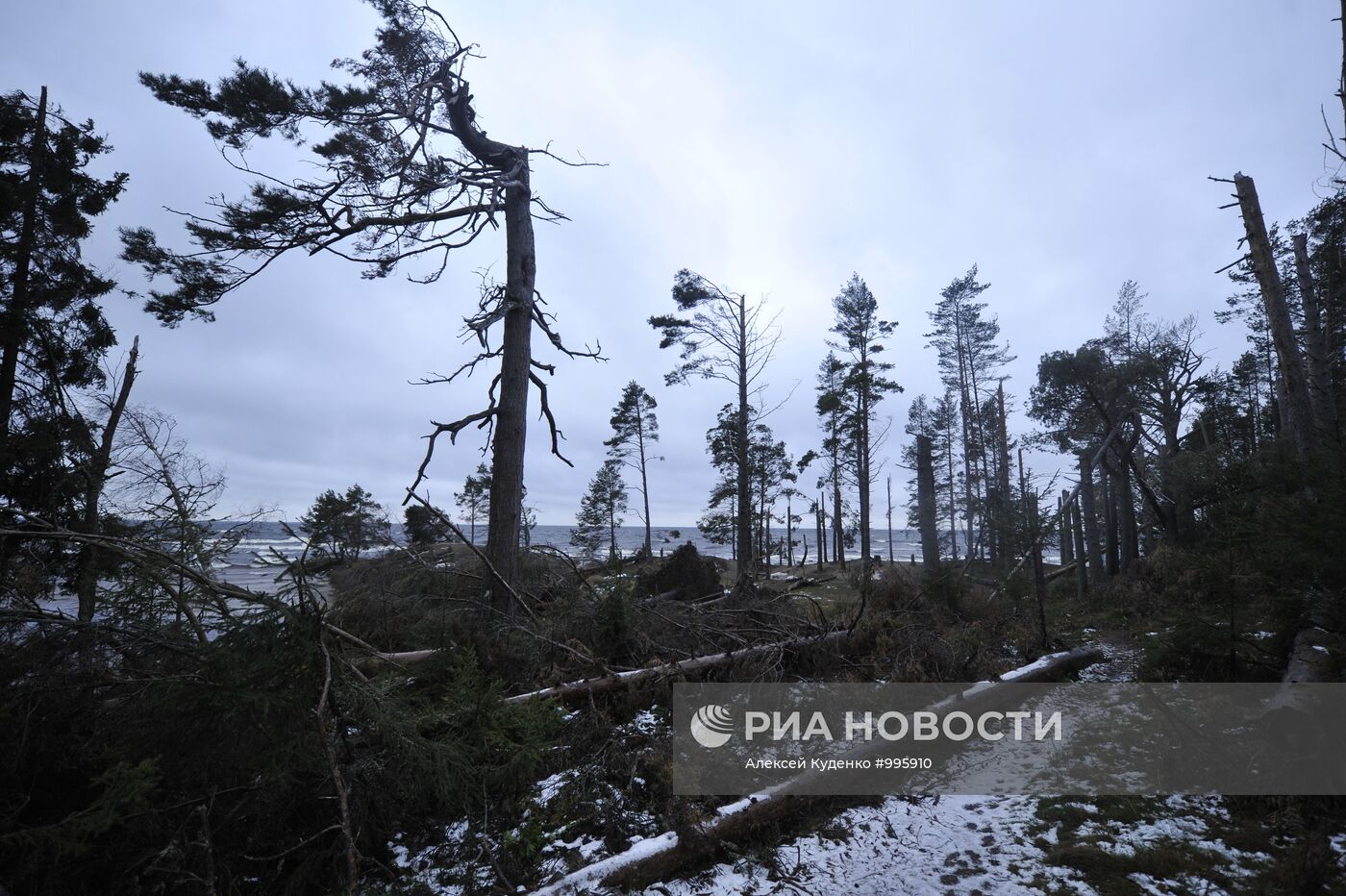 Регионы России. Карелия