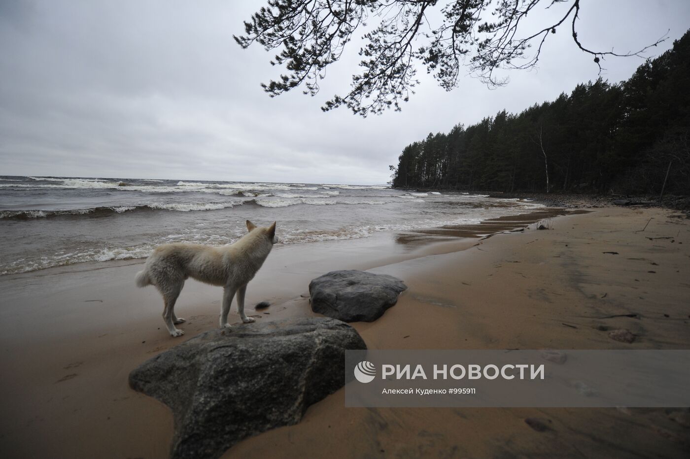 Регионы России. Карелия