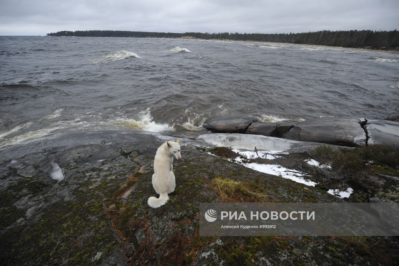 Регионы России. Карелия