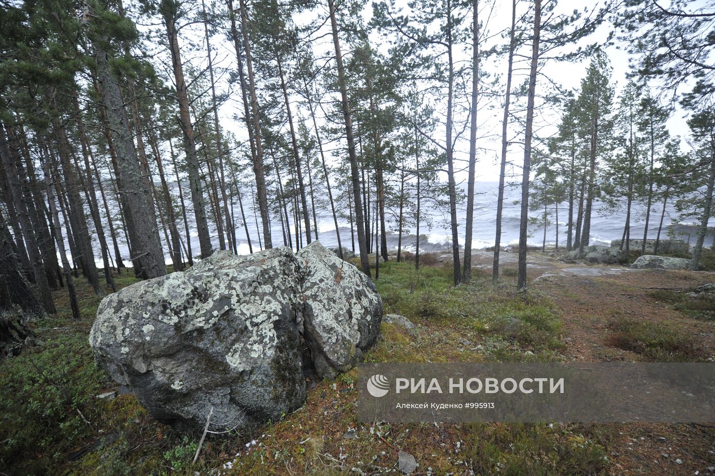 Регионы России. Карелия