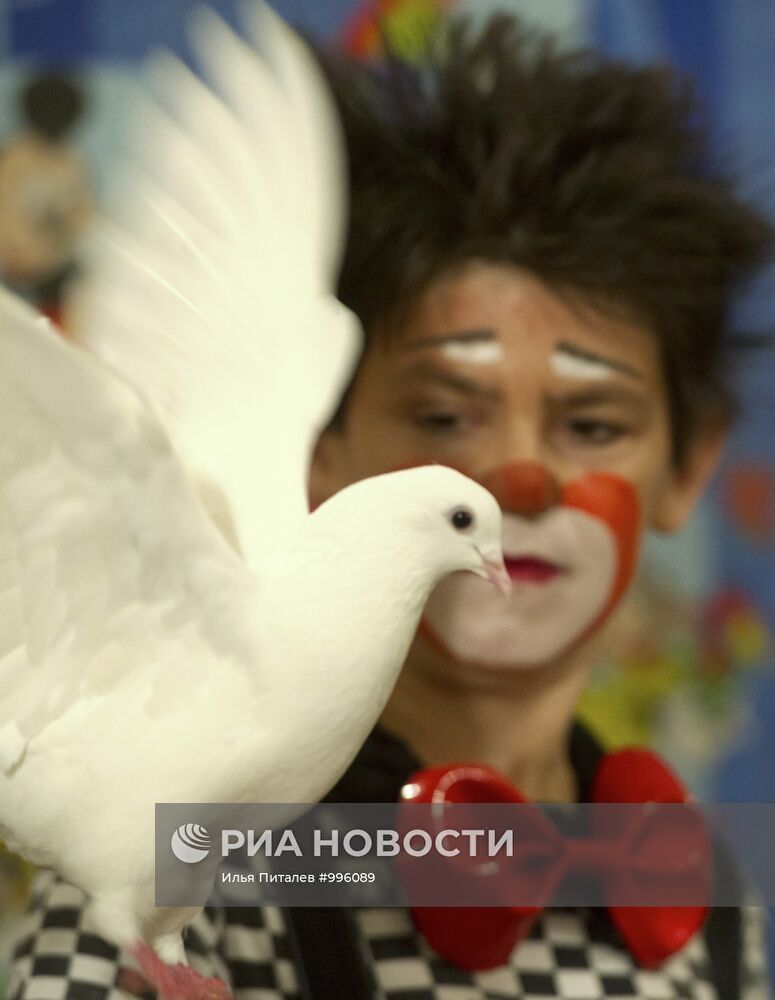 Гастроли цирка лилипутов "Сияние маленьких звезд"