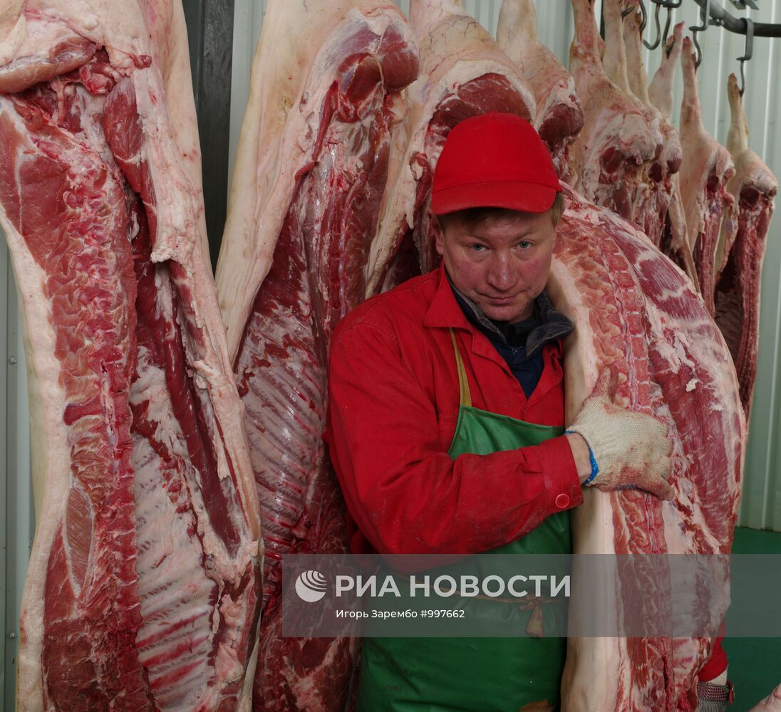 Работа ооо. Черняховский мясокомбинат Калининградская. Грузчик на мясокомбинат. Грузчик мяса на мясокомбинате.