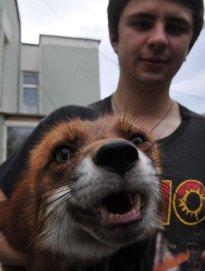 Театр "Уголок дедушки Дурова" | РИА Новости Медиабанк