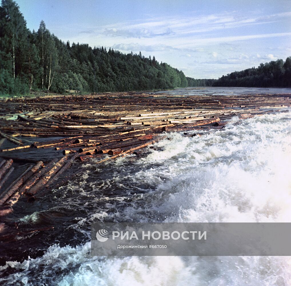Сплав леса по реке Суне | РИА Новости Медиабанк
