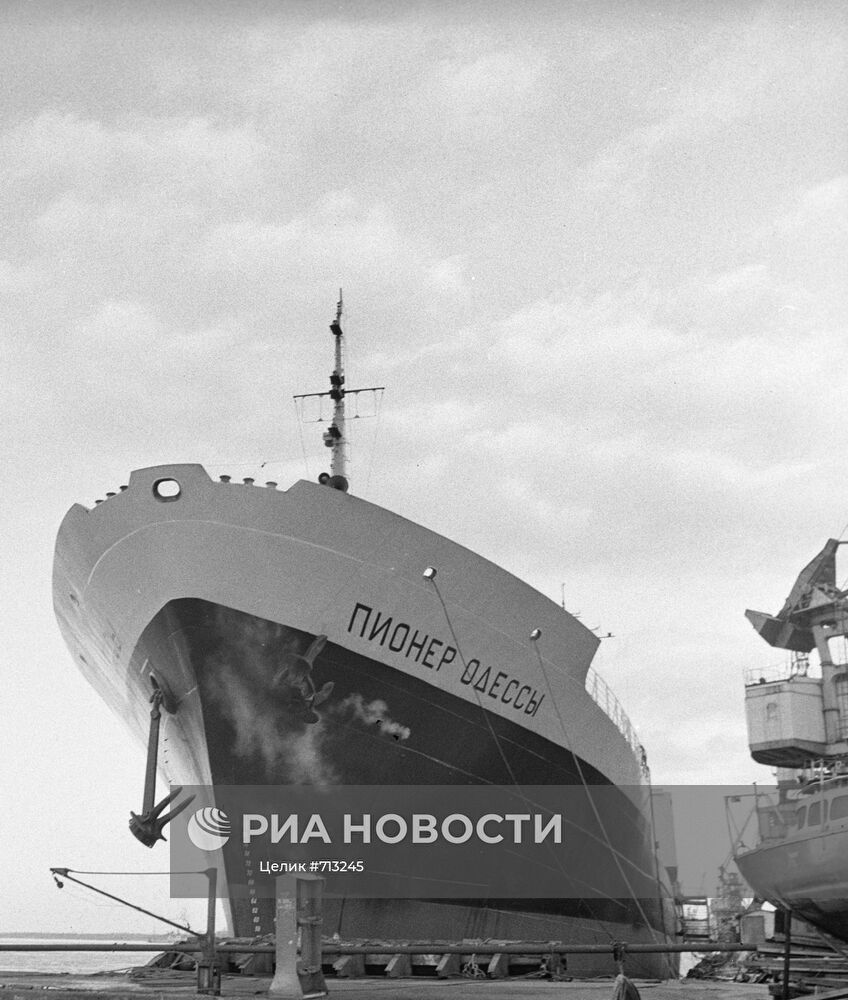 Контейнеровоз "Пионер Одессы" | РИА Новости Медиабанк