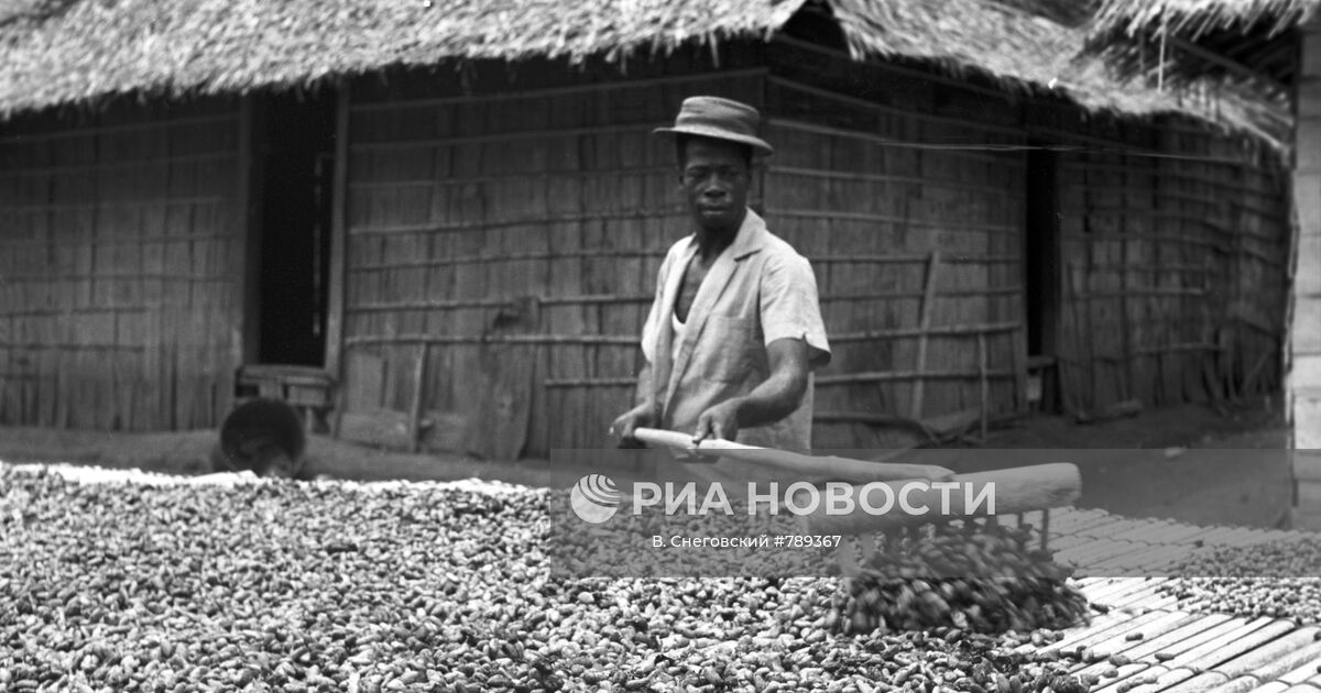 Сушка какао-бобов | РИА Новости Медиабанк