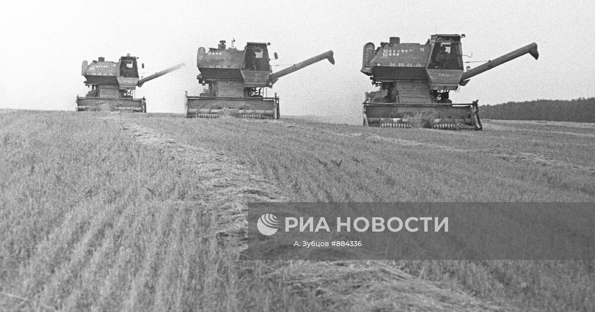 Уборка пшеницы в колхозе "Большевик" | РИА Новости Медиабанк