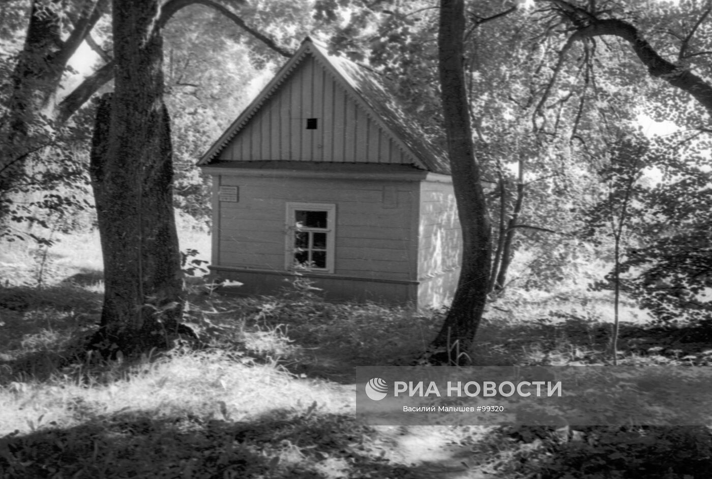 ДОМИК ЯСНАЯ ПОЛЯНА | РИА Новости Медиабанк