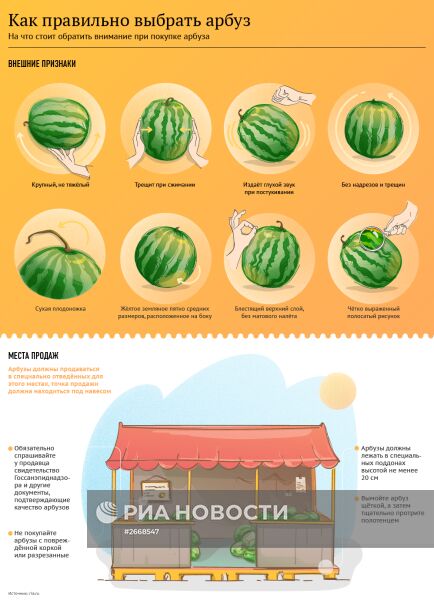 Как правильно выбрать арбуз
