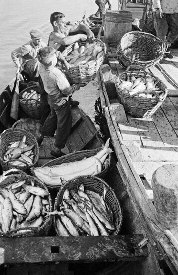 Великая Отечественная война 1941-1945 гг.