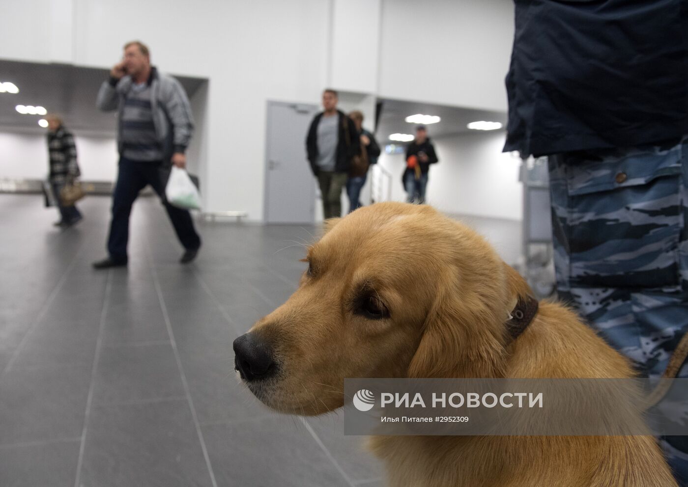 Международный аэропорт "Жуковский"