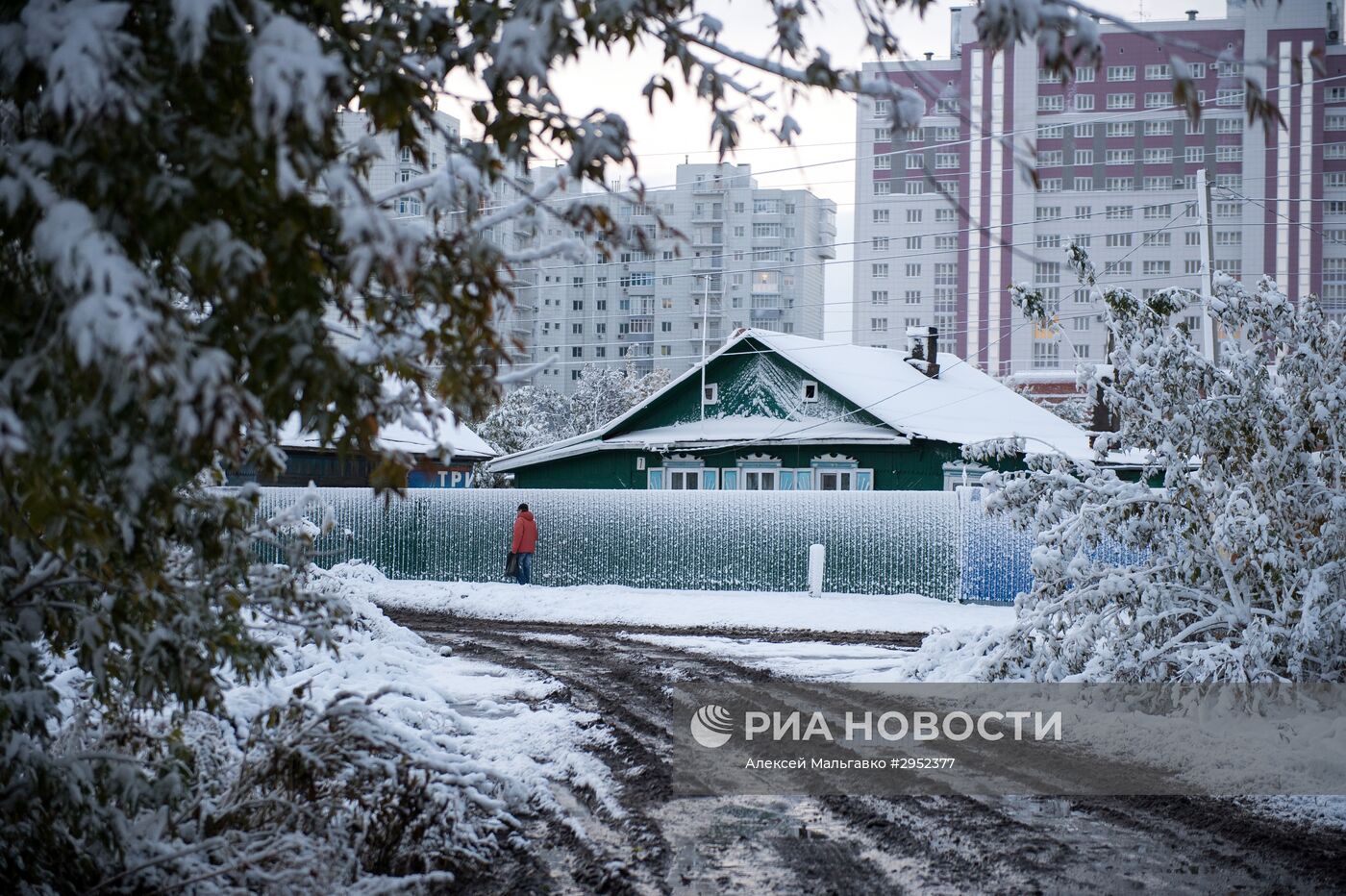 В Омске выпал первый снег