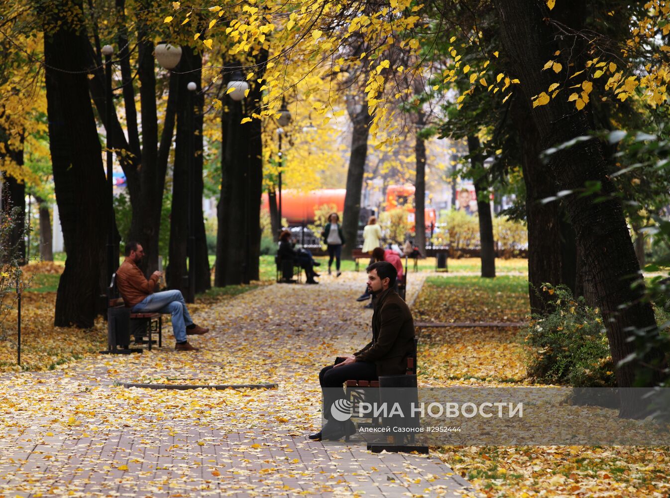 Золотая осень в Воронеже