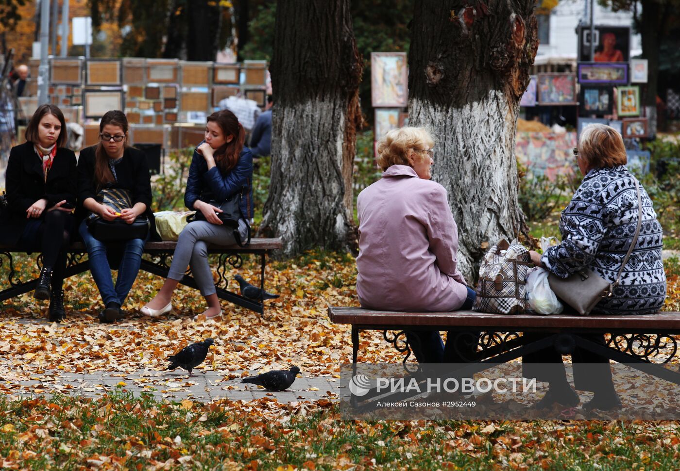 Золотая осень в Воронеже