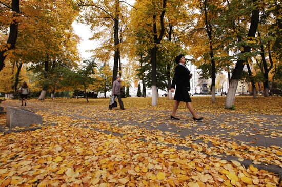 Золотая осень в Воронеже