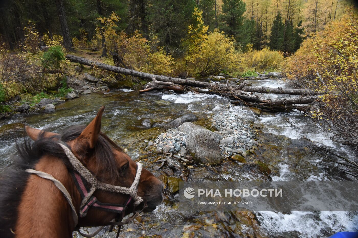 Осень в Горном Алтае