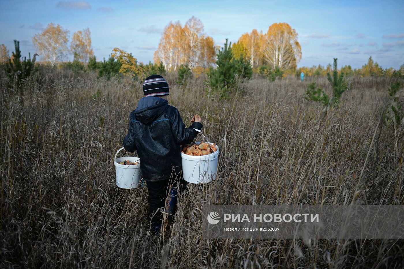 Сбор грибов в Челябинской области