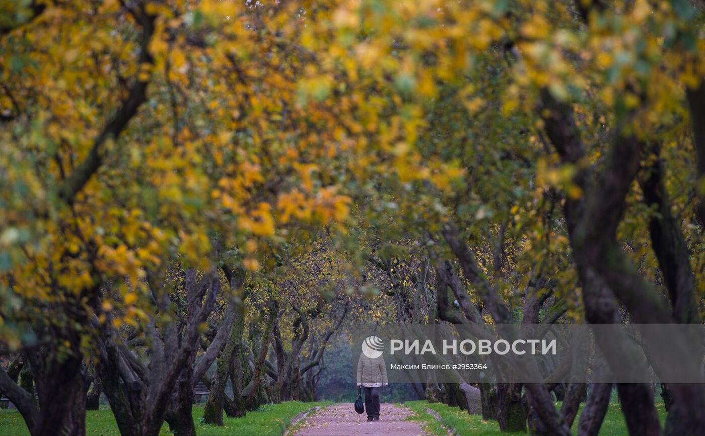 Осень в Москве