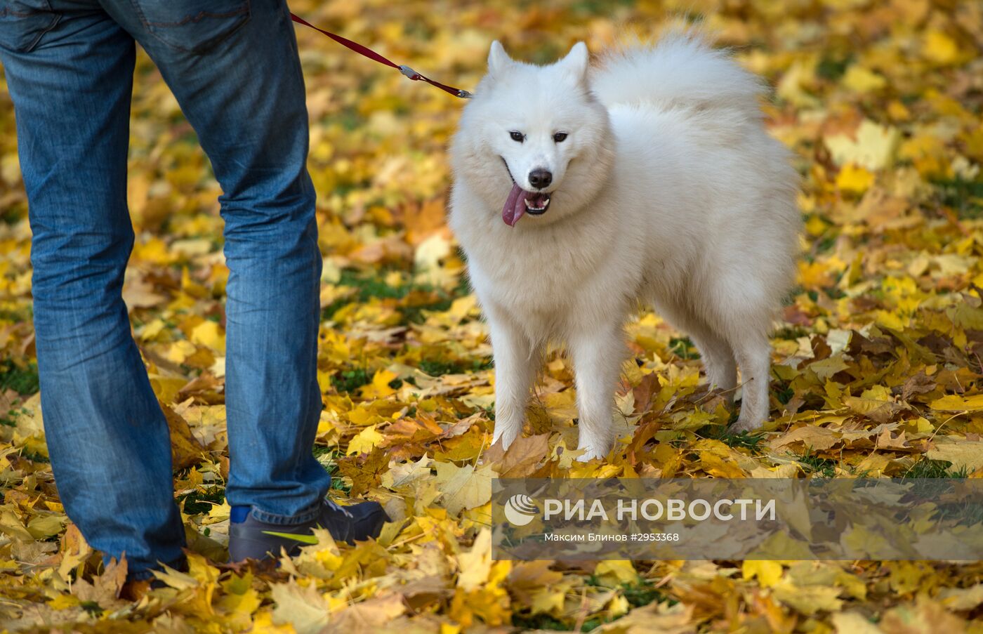 Осень в Москве