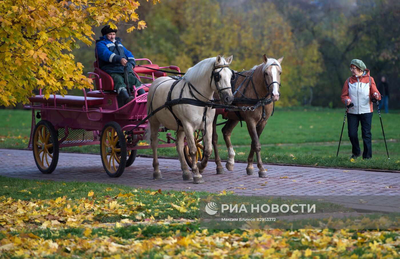 Осень в Москве