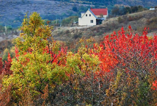 Осень в Крыму